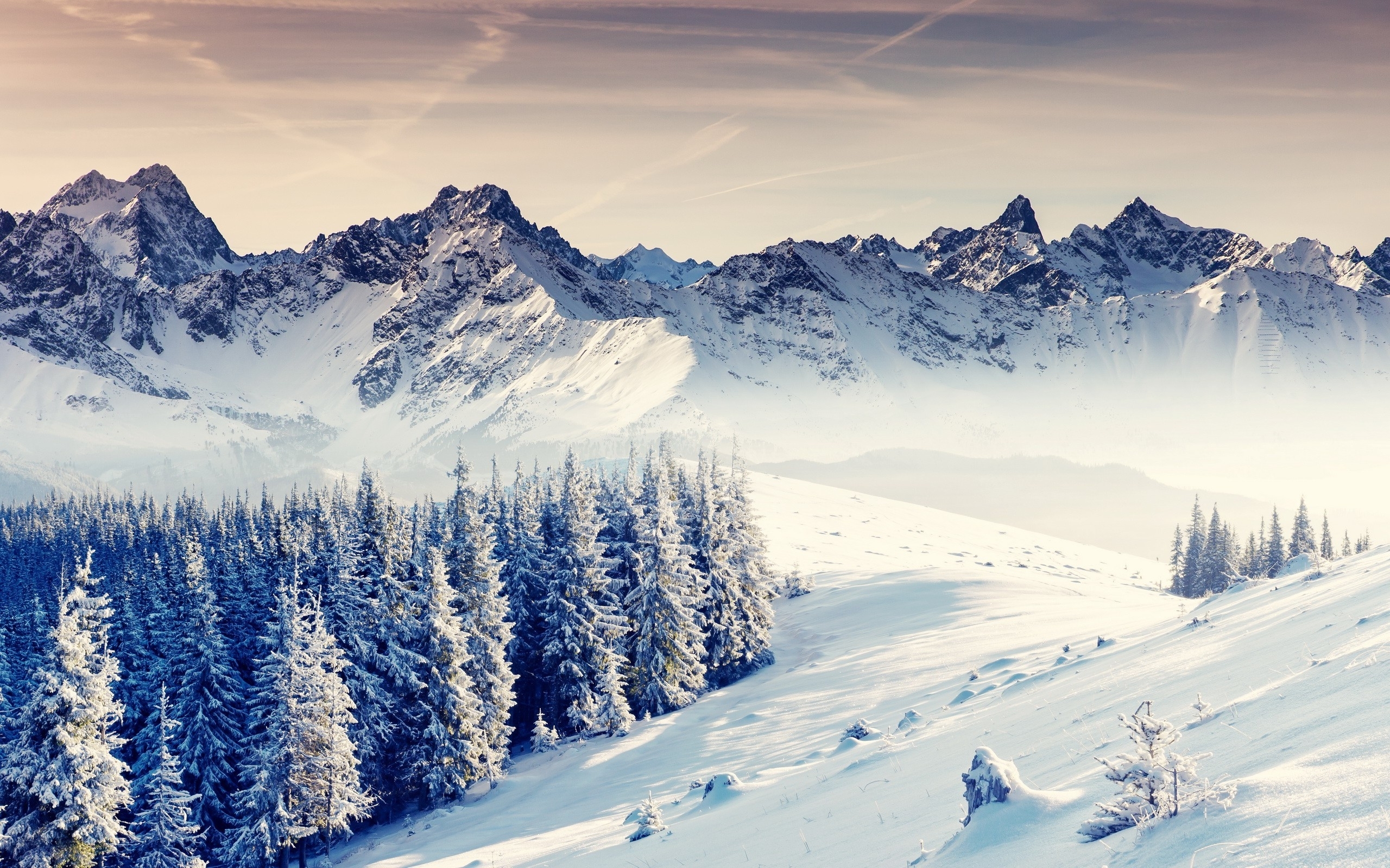 Mountain Scene